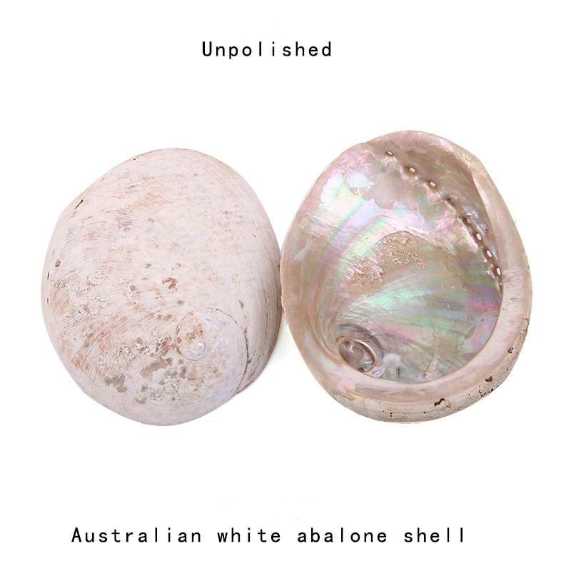 12-16CM naturalna nowa zelandi – Jewelry Making New Zealand recenzja i cena